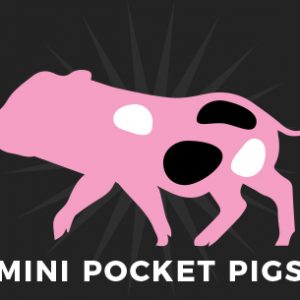 Mini Pocket Pigs